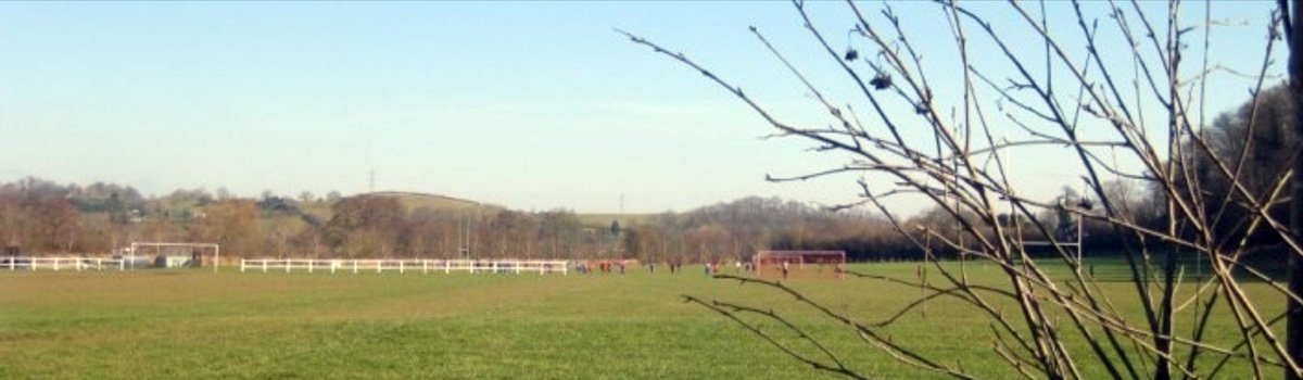 Palmers Meadow
